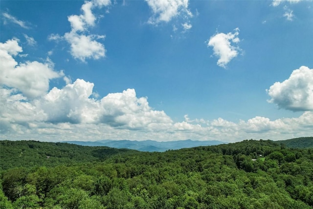 64 Outpost Trl, Glenville, NC 28736 - photo 43
