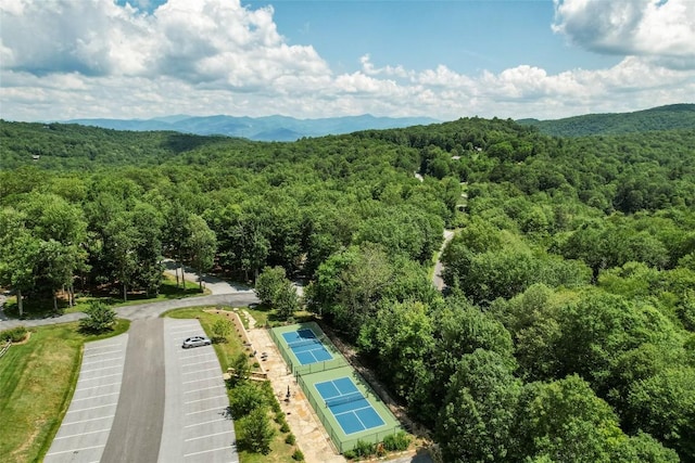 64 Outpost Trl, Glenville, NC 28736 - photo 42
