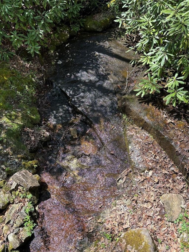 view of details
