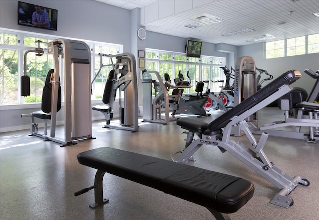 exercise room featuring a healthy amount of sunlight and baseboards