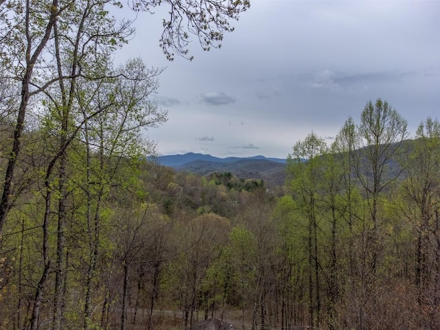 mountain view with a forest view