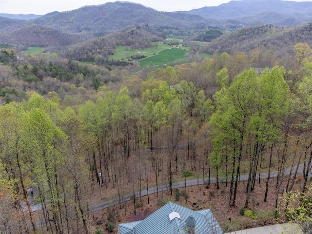 property view of mountains featuring a view of trees