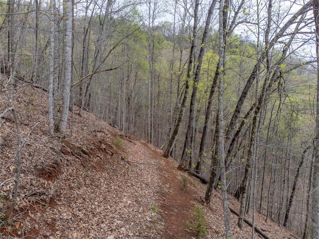 view of nature featuring a forest view