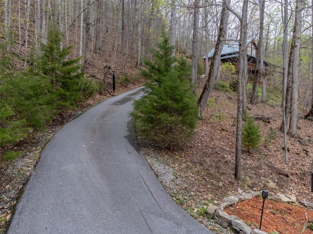 view of road with a forest view