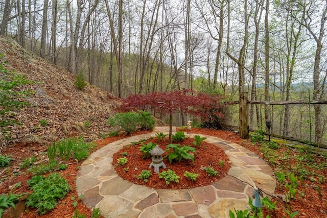 view of yard featuring a wooded view
