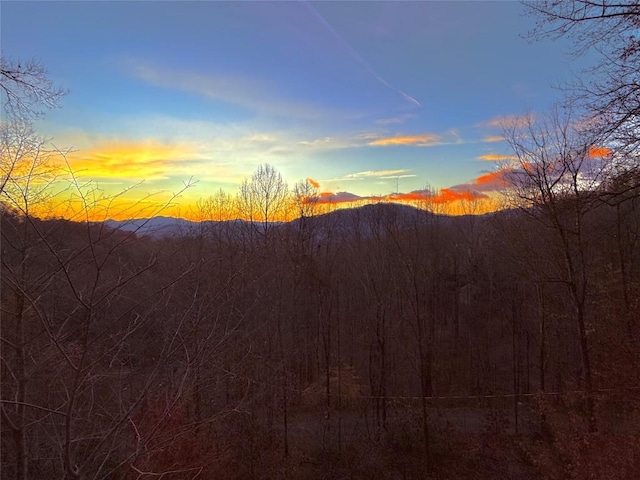 mountain view