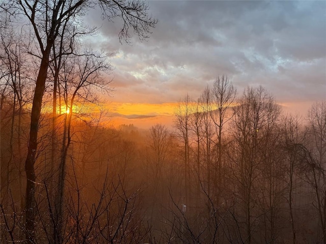 view of nature