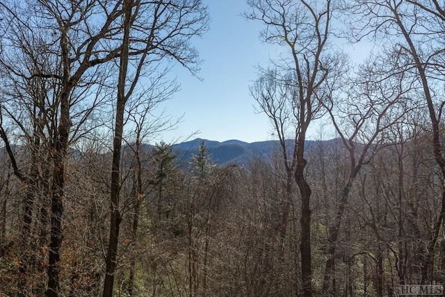 mountain view featuring a view of trees