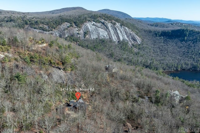 view of mountain feature with a water view and a wooded view