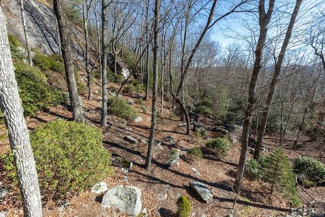 view of landscape with a forest view