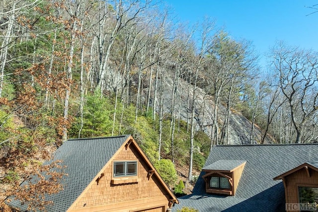 view of home's exterior featuring a shingled roof and a view of trees