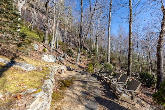 view of yard with a forest view