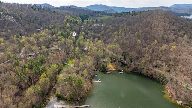 141 Andrews Park Rd, Cullowhee, NC 28723 - photo 31