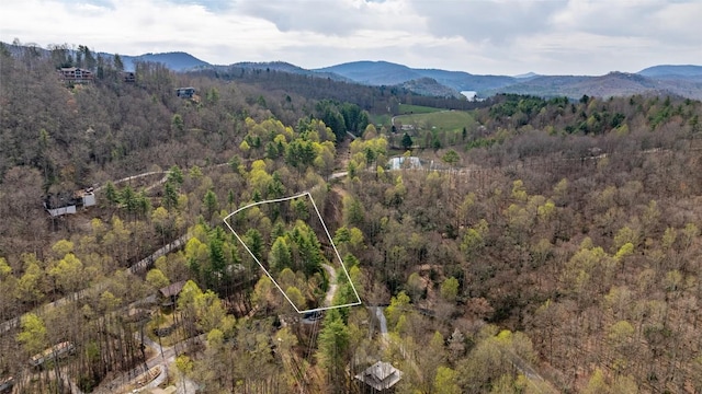141 Andrews Park Rd, Cullowhee, NC 28723 - photo 32