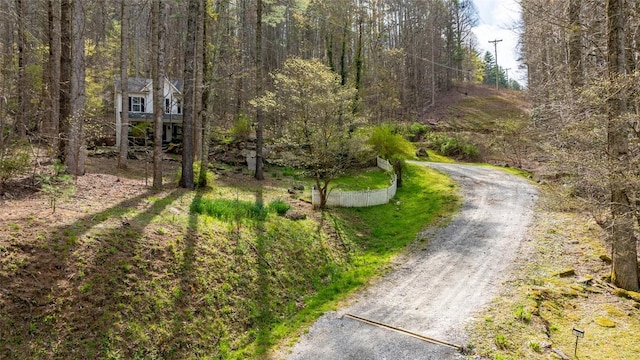 141 Andrews Park Rd, Cullowhee, NC 28723 - photo 27