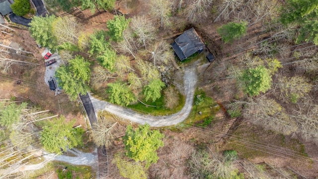 141 Andrews Park Rd, Cullowhee, NC 28723 - photo 33