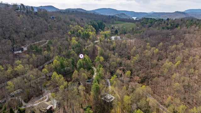141 Andrews Park Rd, Cullowhee, NC 28723 - photo 29