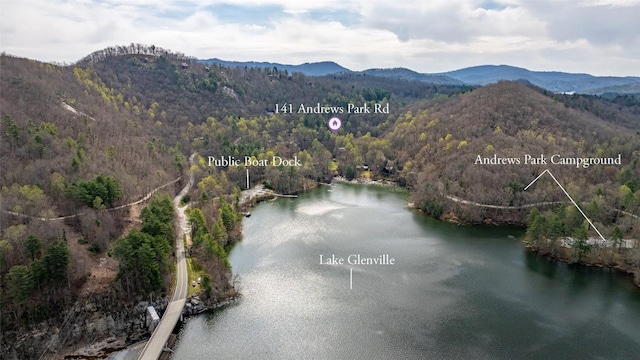 141 Andrews Park Rd, Cullowhee, NC 28723 - photo 30