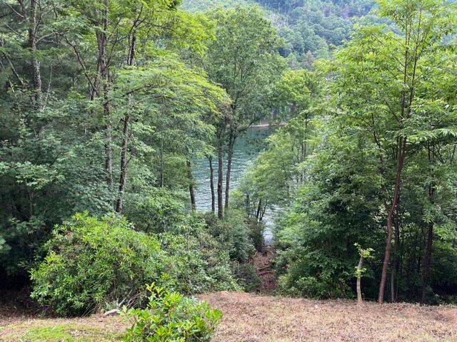 2758 Wayside Ln, Cullowhee, NC 28723