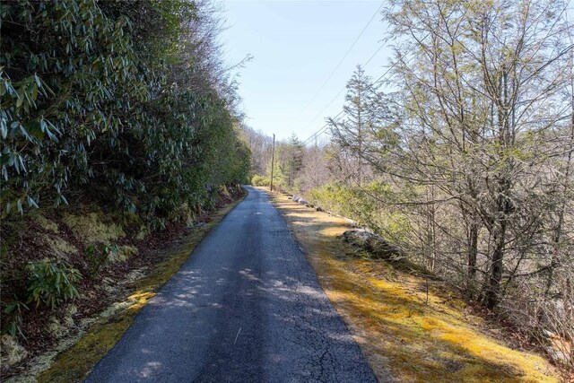 2758 Wayside Ln, Cullowhee, NC 28723