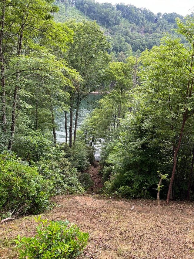 2758 Wayside Ln, Cullowhee, NC 28723