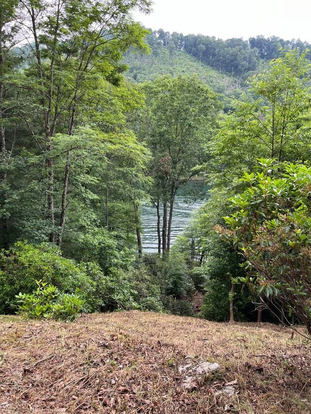 2758 Wayside Ln, Cullowhee, NC 28723