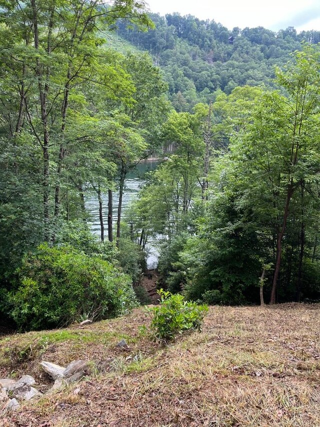 2758 Wayside Ln, Cullowhee, NC 28723
