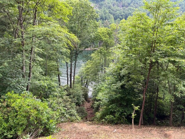 2758 Wayside Ln, Cullowhee, NC 28723