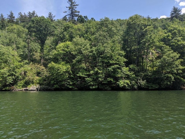 2758 Wayside Ln, Cullowhee, NC 28723