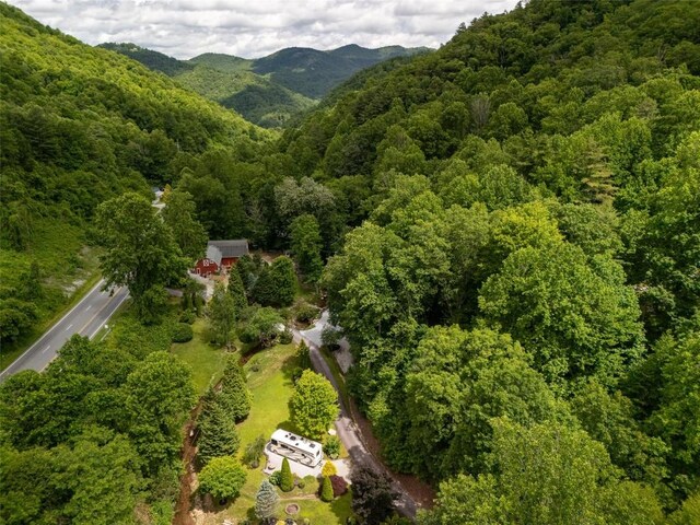 31 Bold Creek Trl, Glenville, NC 28736 - photo 48