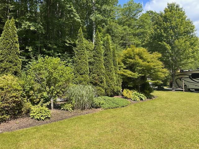 31 Bold Creek Trl, Glenville, NC 28736 - photo 59