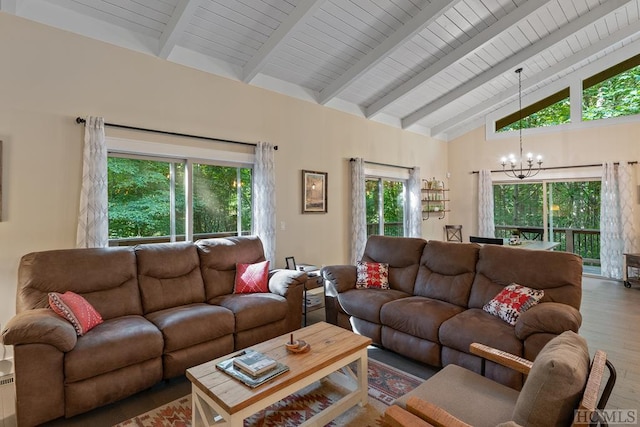 living room with beam ceiling, wood-type flooring, high vaulted ceiling, and a wealth of natural light