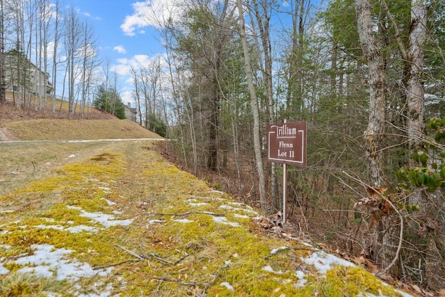 LT11 Trillium Ridge Rd, Cullowhee NC, 28723 land for sale