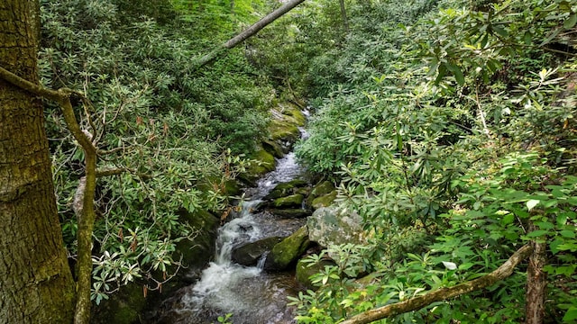 671 Walkingstick Rd, Highlands, NC 28741 - view of nature