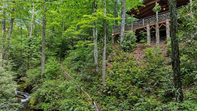 671 Walkingstick Rd, Highlands, NC 28741 - view of tree filled area