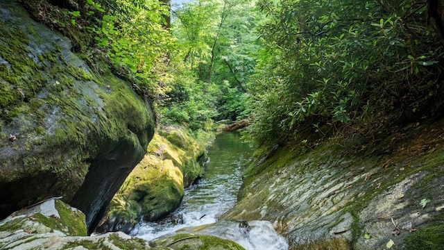 671 Walkingstick Rd, Highlands, NC 28741 - water view featuring a forest
