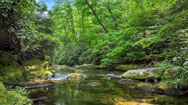 671 Walkingstick Rd, Highlands, NC 28741 - view of wooded area