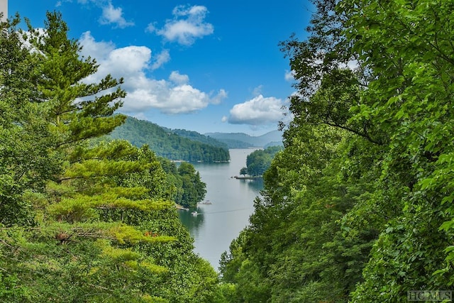 water view with a mountain view