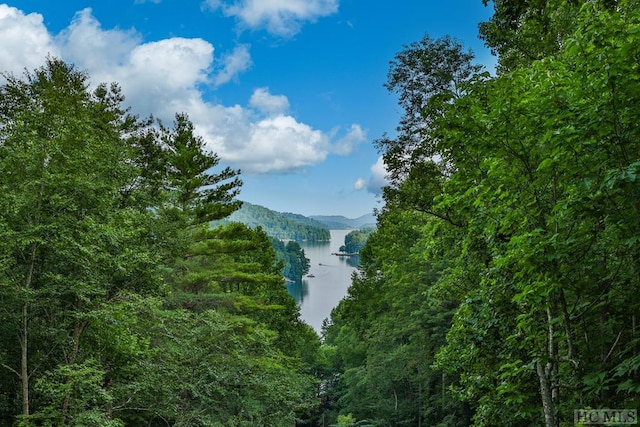 property view of mountains with a water view