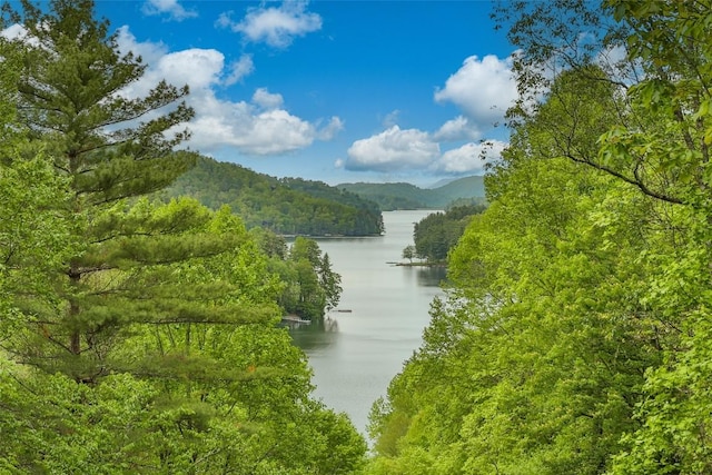 453 Bright Mountain Rd, Cullowhee, NC 28723 - water view with a heavily wooded area