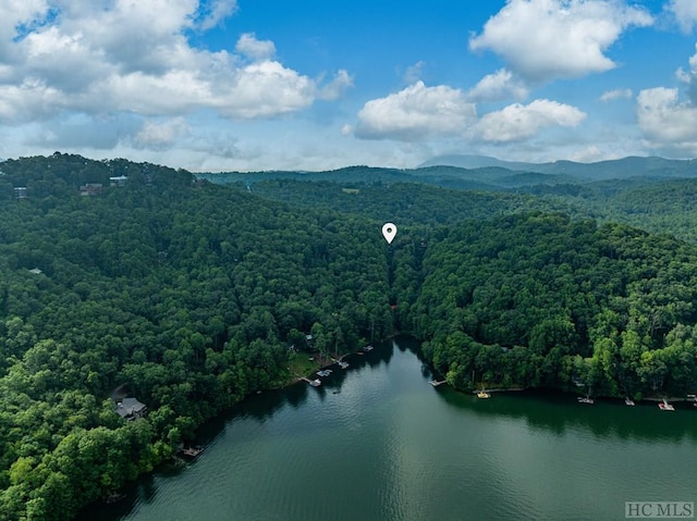 birds eye view of property with a water and mountain view