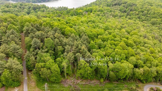 13 Receptive Dr, Glenville, NC 28736 - photo 2