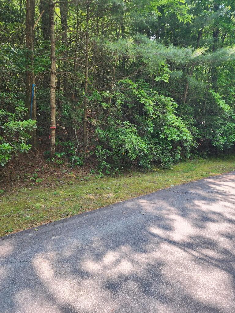 LOT50 Big Pine Rd, Sapphire, NC 28774