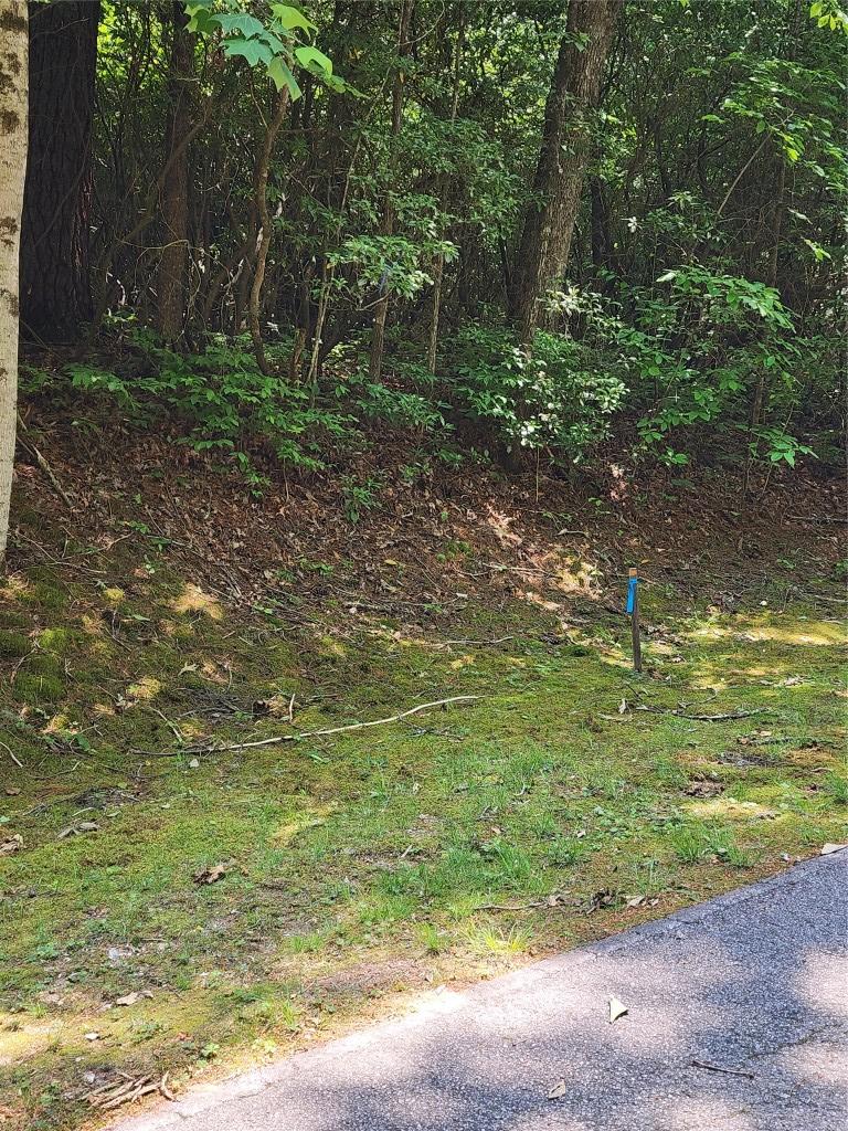 LOT50 Big Pine Rd, Sapphire, NC 28774