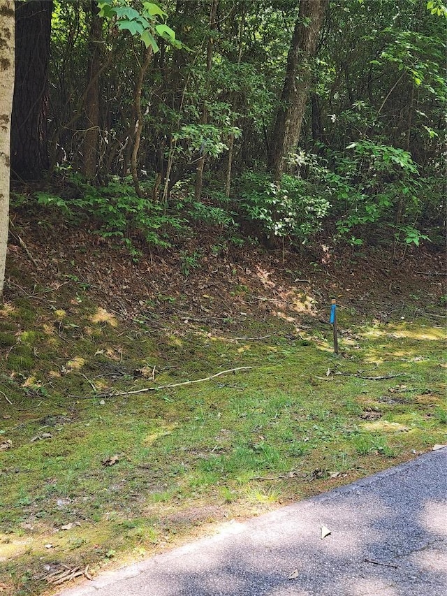 LOT50 Big Pine Rd, Sapphire, NC 28774
