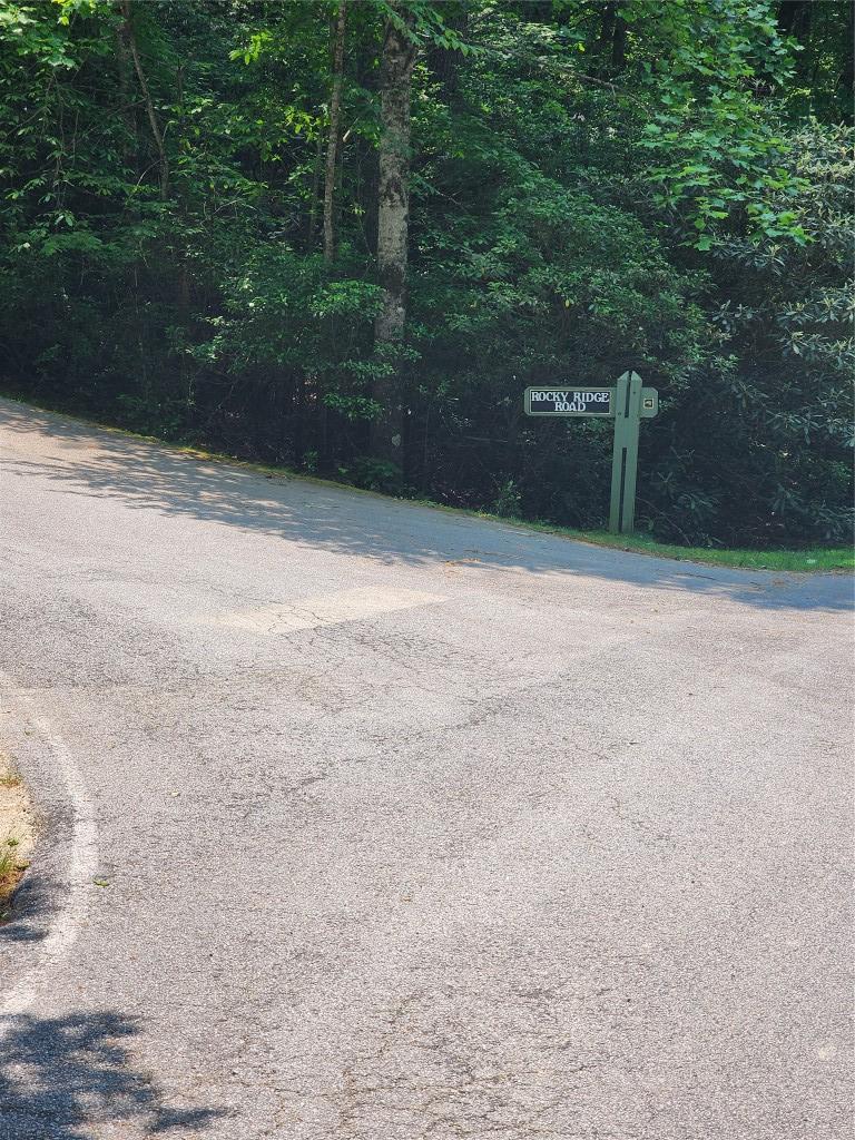 LOT50 Big Pine Rd, Sapphire, NC 28774