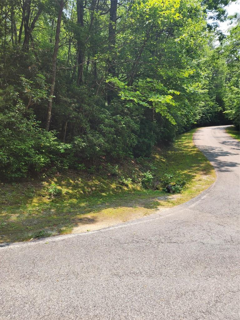 LOT50 Big Pine Rd, Sapphire, NC 28774