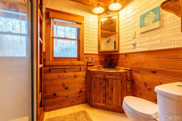 bathroom with vanity, wooden walls, toilet, and walk in shower