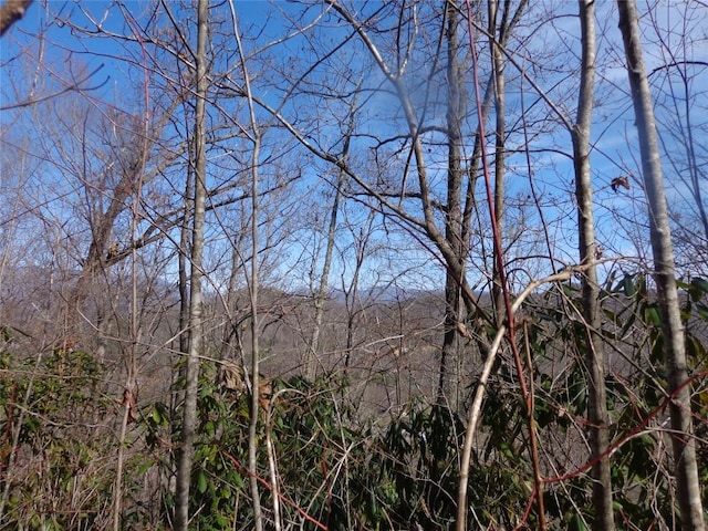 LOT7 Plainview Rdg, Sylva NC, 28779 land for sale