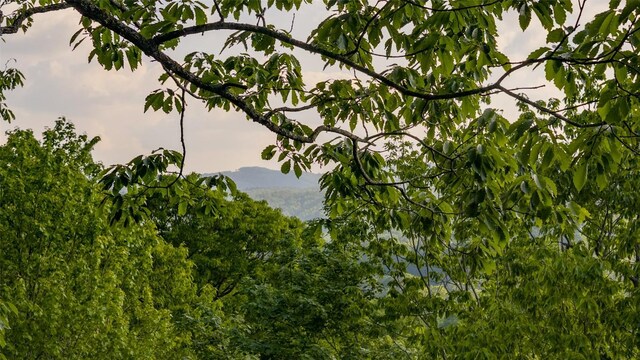 LT Forest Ridge, Cashiers, NC 28717 - photo 19
